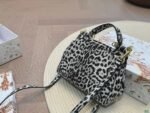 D&G leopard print tote shoulder across the body with a case - Image 12