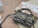 D&G leopard print tote shoulder across the body with a case - Image 9