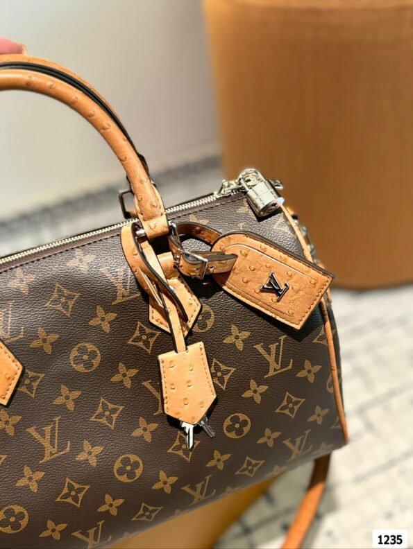 LV Pillow Bag Carrying One Shoulder Crossbody Bag without Case - Image 23