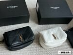 Mini SAINT LAURENT|New - with box