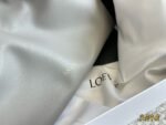 Loewe shopping bags  Soft calfskin smooth and shiny-box - Image 4